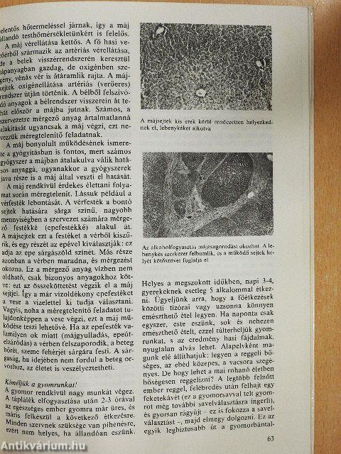 A csodálatos emberi test