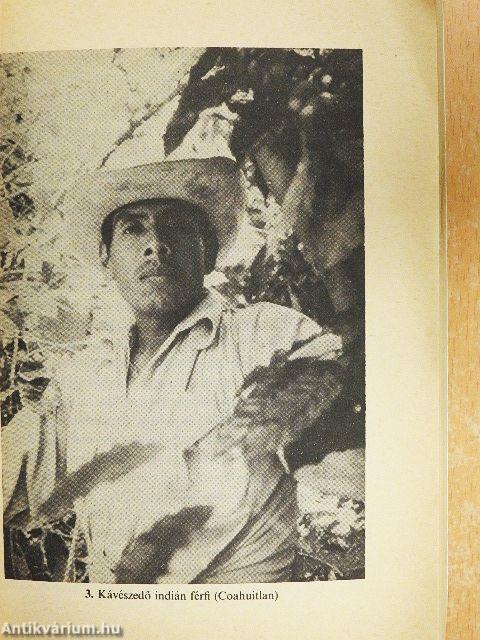 Az istenanyák indiánjai