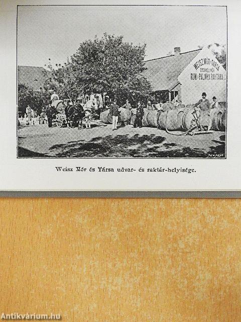 Gyula város rövid leírása