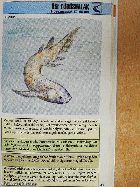 A dinoszauruszok és a földi élet története