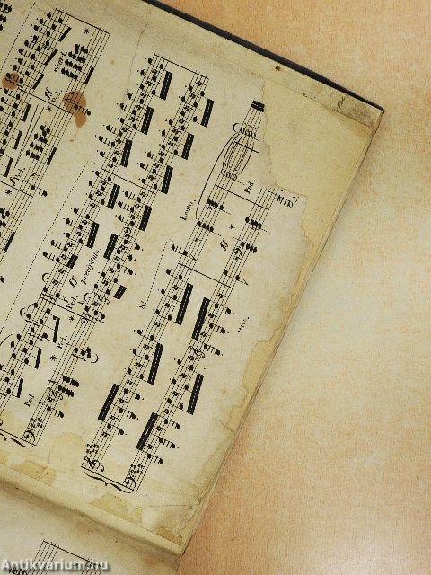 Rapsodie Hongrois/Impatience/Le Rossignol/Qui vive!/Le Fou/Le Chant des Naiades/Phantasie/Caprice/Krönungsmarsch/Piéce de Concert