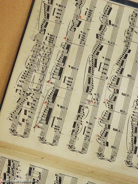 Rapsodie Hongrois/Impatience/Le Rossignol/Qui vive!/Le Fou/Le Chant des Naiades/Phantasie/Caprice/Krönungsmarsch/Piéce de Concert