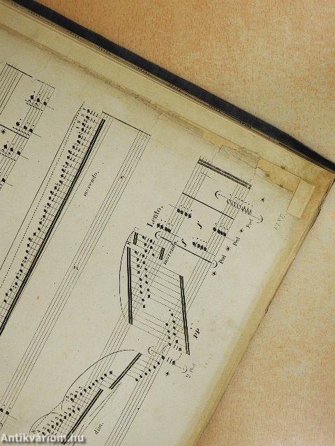 Rapsodie Hongrois/Impatience/Le Rossignol/Qui vive!/Le Fou/Le Chant des Naiades/Phantasie/Caprice/Krönungsmarsch/Piéce de Concert