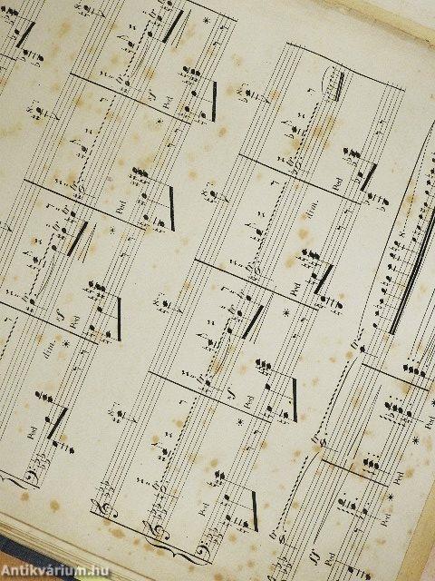 Rapsodie Hongrois/Impatience/Le Rossignol/Qui vive!/Le Fou/Le Chant des Naiades/Phantasie/Caprice/Krönungsmarsch/Piéce de Concert