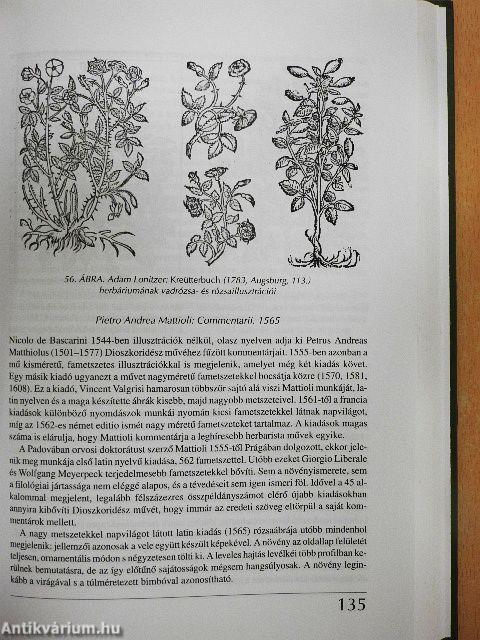 A rózsa és jelképei