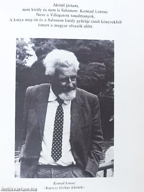 Tarkabarka állatvilág