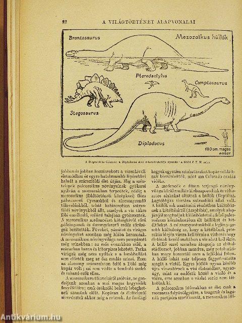 A világtörténet alapvonalai