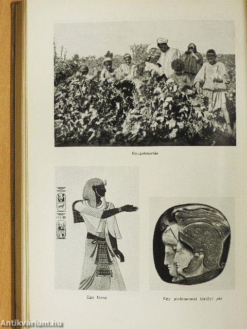 A Nílus Egyiptomban