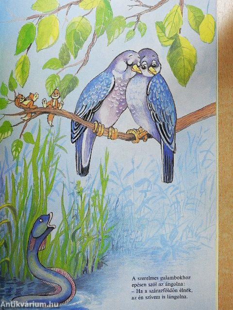 Állatkerti útmutató