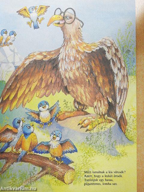 Állatkerti útmutató