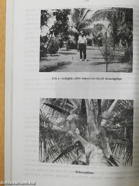 Délszaki csavargások