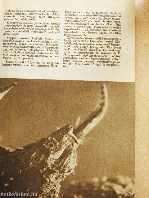 Élet és Tudomány 1966. január 14.