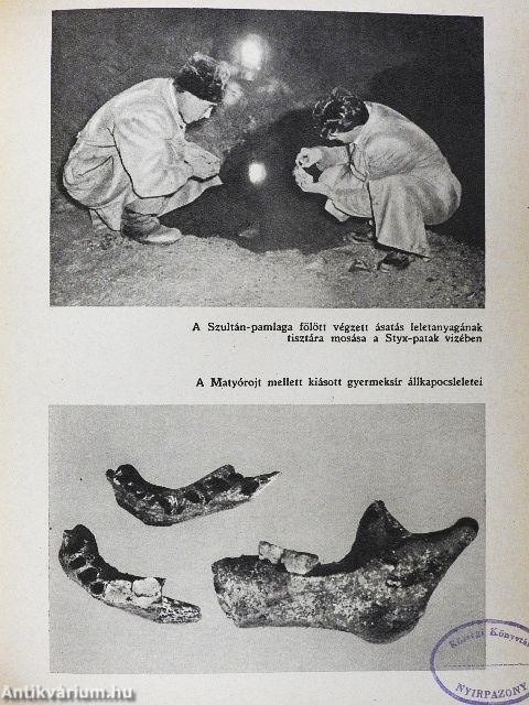 A faggyúfáklyás expedíció