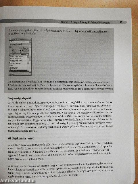 Delphi 7 mesteri szinten I.