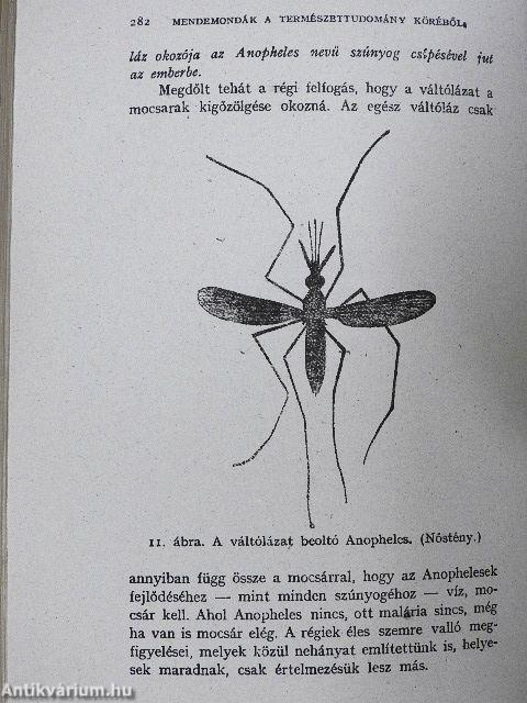 Óriáskígyók és viharágyú