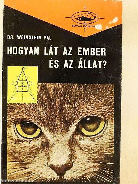 Hogyan lát az ember és az állat?