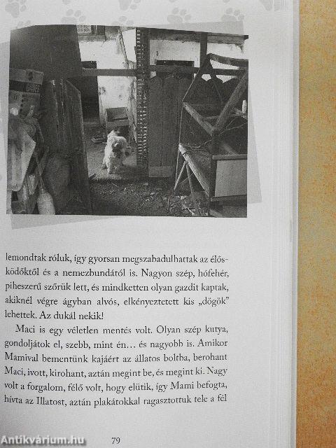 Izé szerint a világ