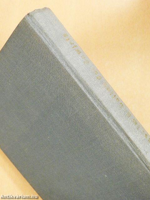 Im Schatten der Sowjets