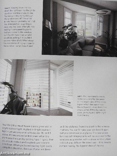 The New Plant Parent