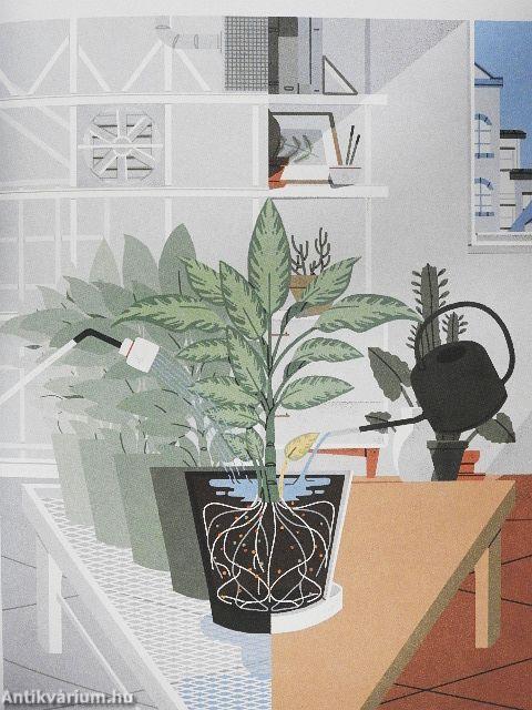 The New Plant Parent