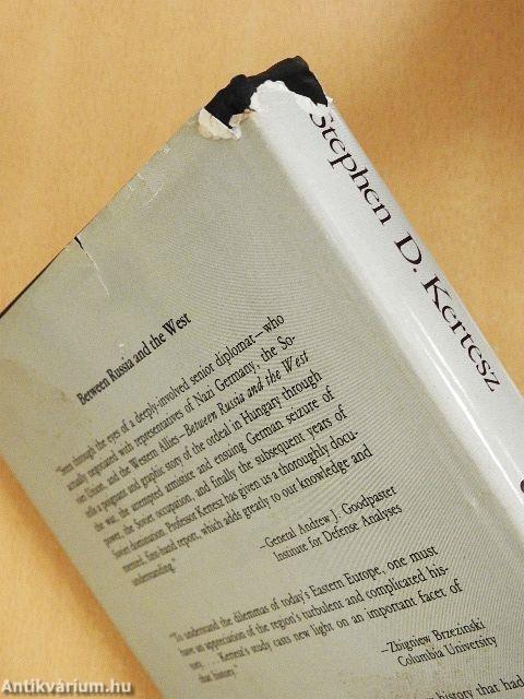 Between Russia and the West