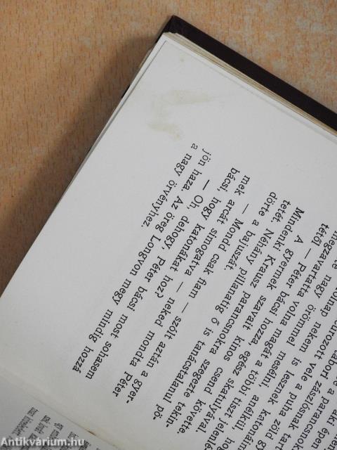 Száz magyarok könyvei I-X.