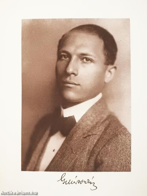 Száz magyarok könyvei I-X.