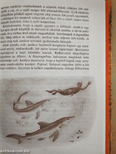 Fogakkal és karmokkal