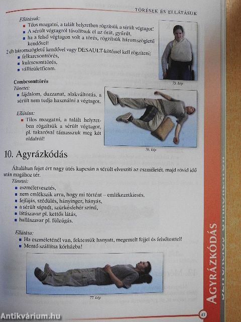 Elsősegélynyújtás gépjárművezetők részére