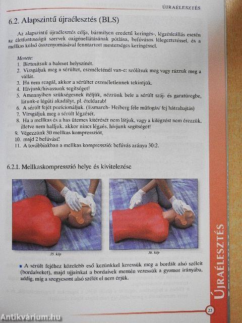 Elsősegélynyújtás gépjárművezetők részére