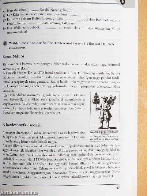 Grünes Licht - Munkafüzet