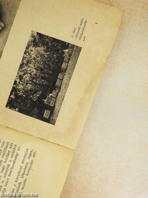 Méhészet, selyemhernyó-, hal-, nyúl- és prémesállattenyésztés