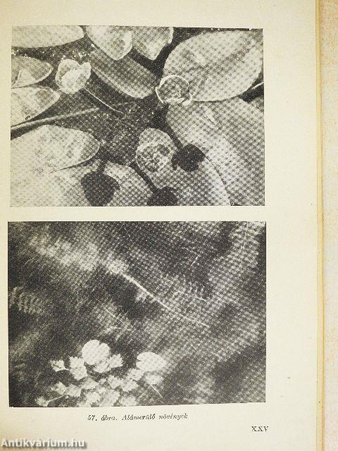 Méhészet, selyemhernyó-, hal-, nyúl- és prémesállattenyésztés