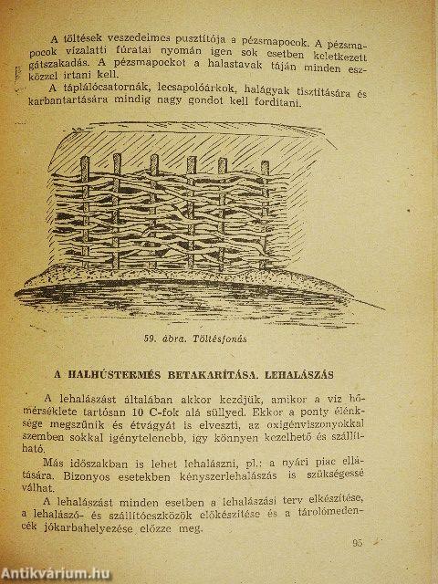 Méhészet, selyemhernyó-, hal-, nyúl- és prémesállattenyésztés