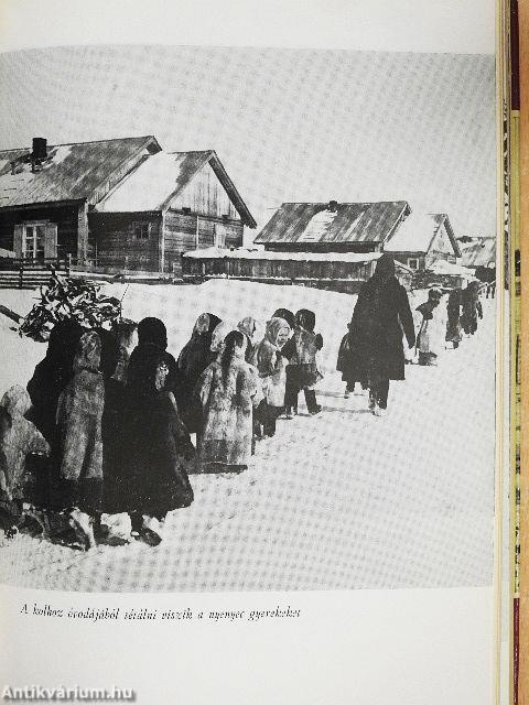 Északra szállnak a hattyúk