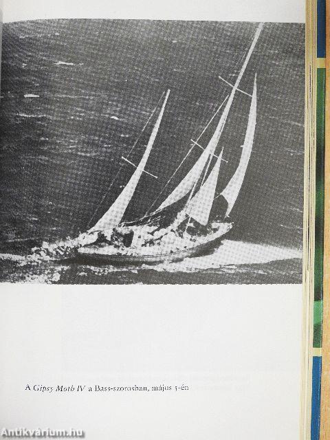Gipsy Moth