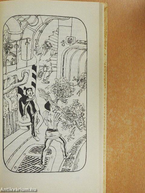 Egy kislány a Földről