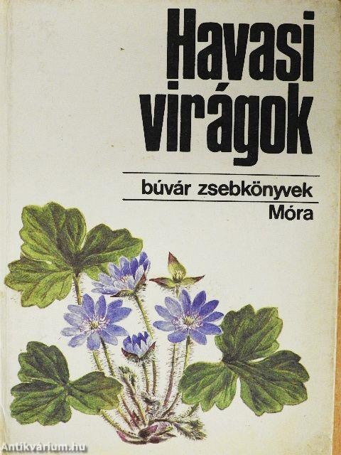 Havasi virágok