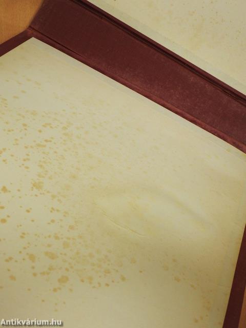 A Magyar Nyelvjárások Atlasza I.