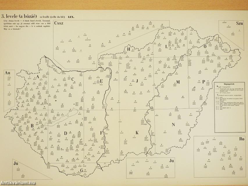 A Magyar Nyelvjárások Atlasza I.