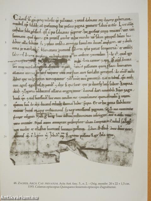 Árpád-kori oklevelek