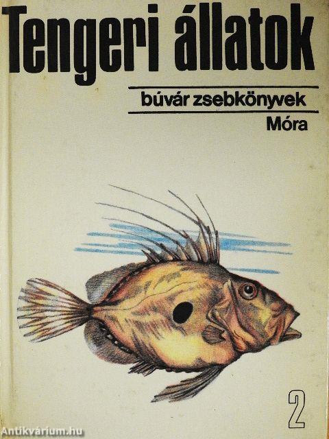 Tengeri állatok 2.