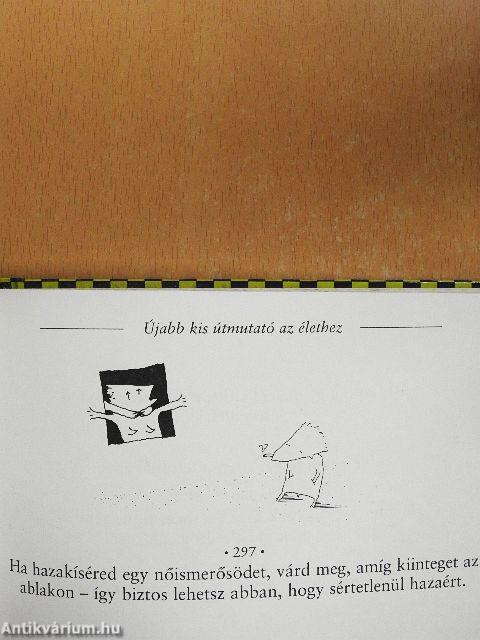 Újabb kis útmutató az élethez