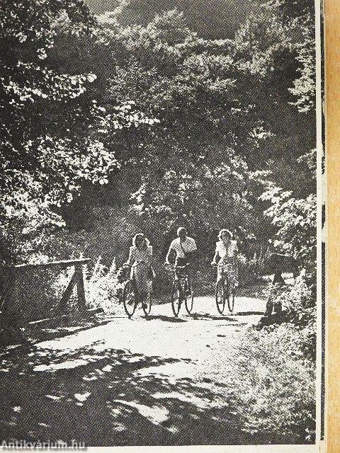 A fényképezés gyakorlata