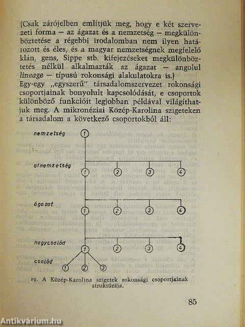 Társadalmak születése