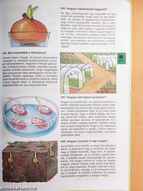 Minden napra egy kérdés