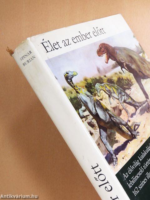 Élet az ember előtt