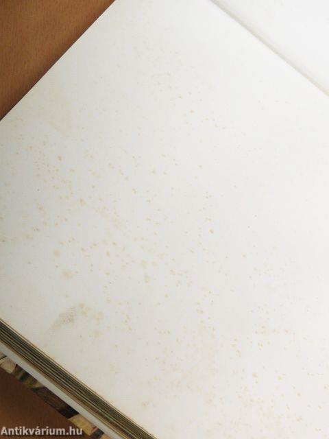 Élet az ember előtt