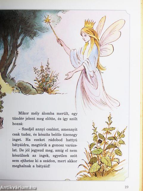 Hans Christian Andersen legszebb meséi