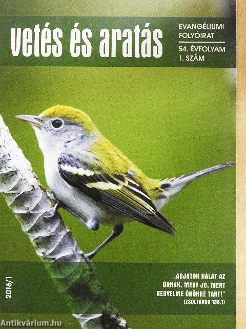 Vetés és aratás 2016/1